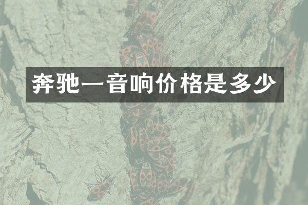 奔驰一音响价格是多少