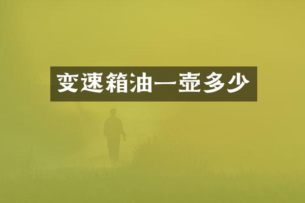 变速箱油一壶多少