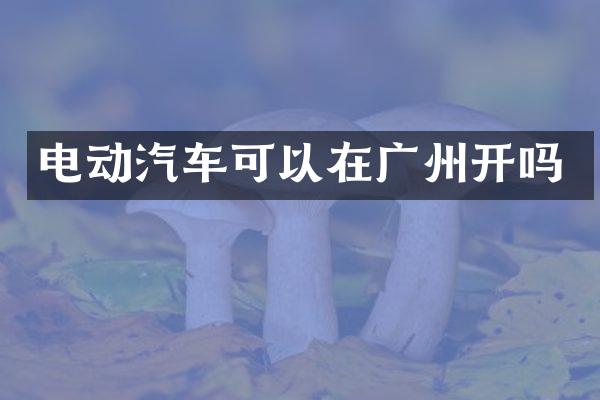 电动汽车可以在广州开吗