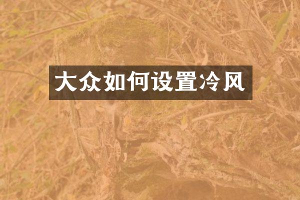 大众如何设置冷风