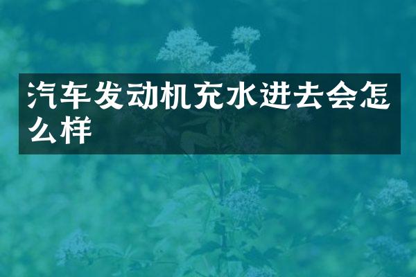 汽车发动机充水进去会怎么样
