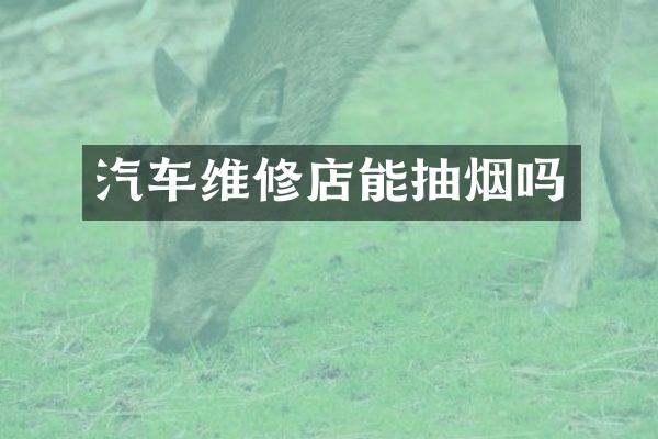 汽车维修店能抽烟吗