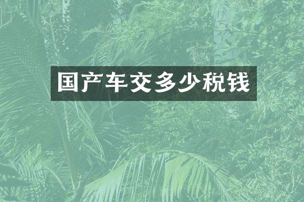 国产车交多少税钱