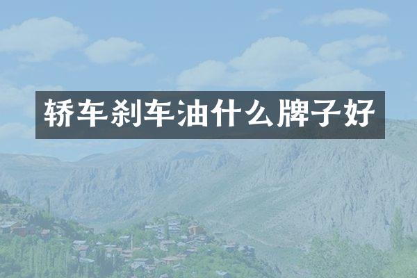 轿车刹车油什么牌子好