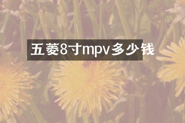 五菱8寸mpv多少钱