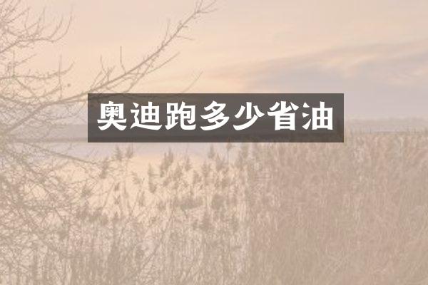 奥迪跑多少省油