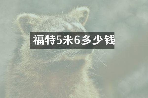 福特5米6多少钱