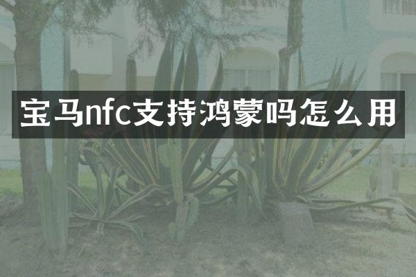 宝马nfc支持鸿蒙吗怎么用