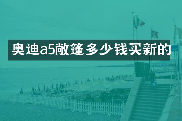 奥迪a5敞篷多少钱买新的