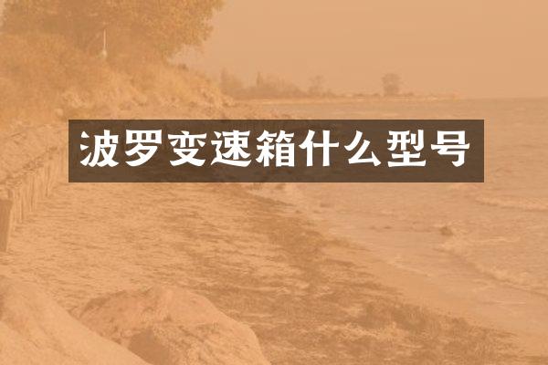 波罗变速箱什么型号