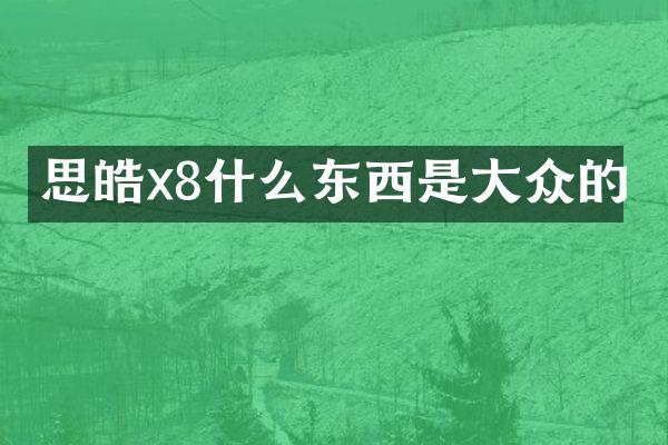 思皓x8什么东西是大众的