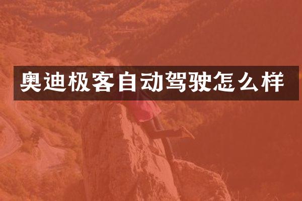 奥迪极客自动驾驶怎么样