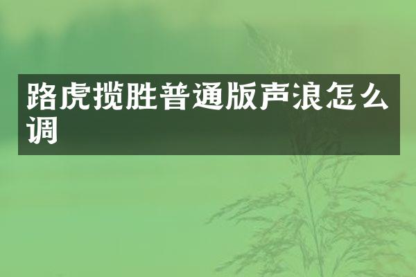 路虎揽胜普通版声浪怎么调