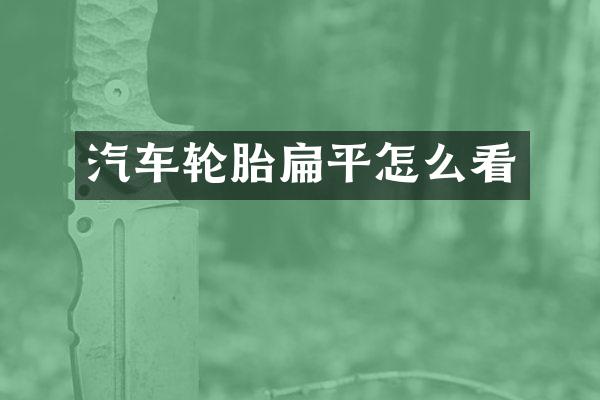 汽车轮胎扁平怎么看