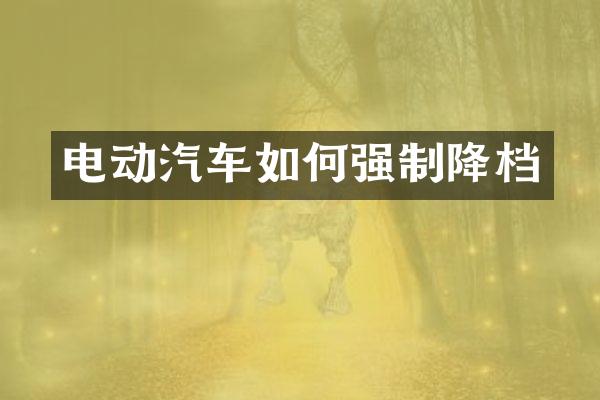 电动汽车如何强制降档