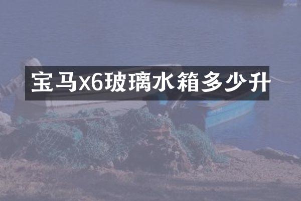 宝马x6玻璃水箱多少升