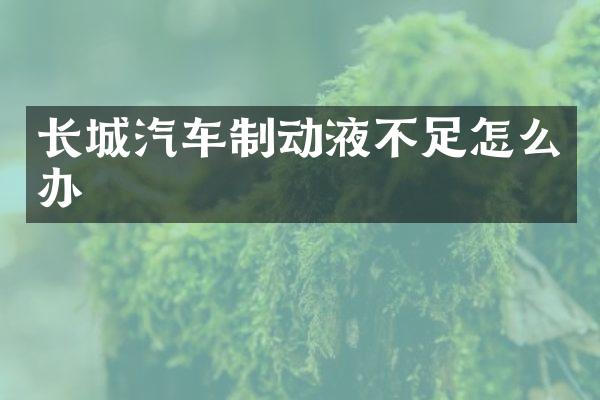 长城汽车制动液不足怎么办