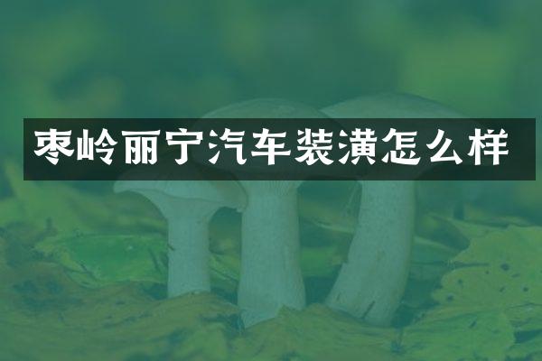 枣岭丽宁汽车装潢怎么样