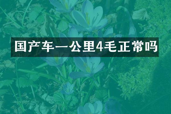 国产车一公里4毛正常吗