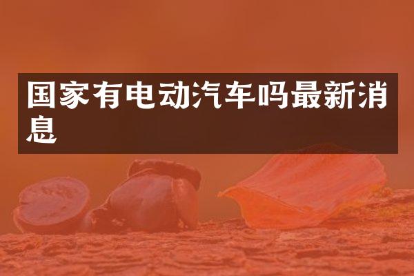 国家有电动汽车吗最新消息