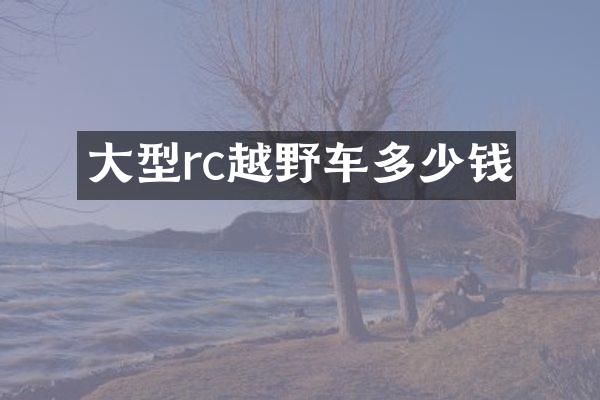 大型rc越野车多少钱