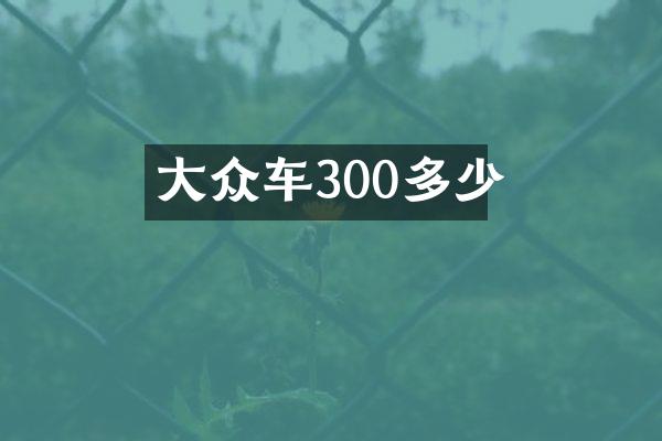 大众车300多少