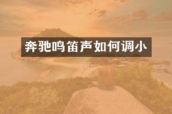 奔驰鸣笛声如何调小