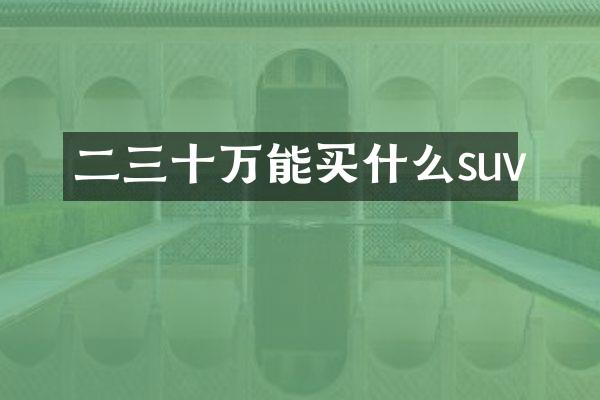 二三十万能suv
