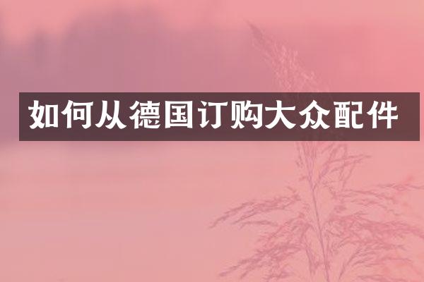 如何从德国订购大众配件