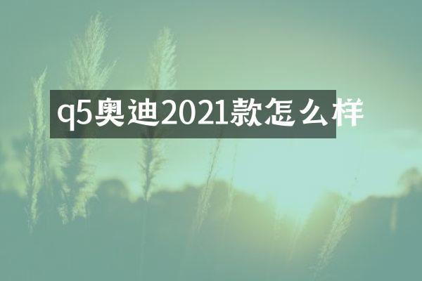 q5奥迪2021款怎么样