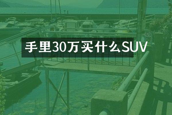 手里30万SUV