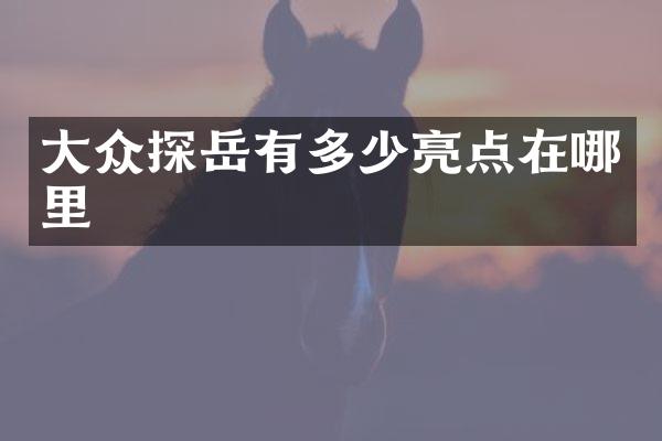 大众探岳有多少亮点在哪里
