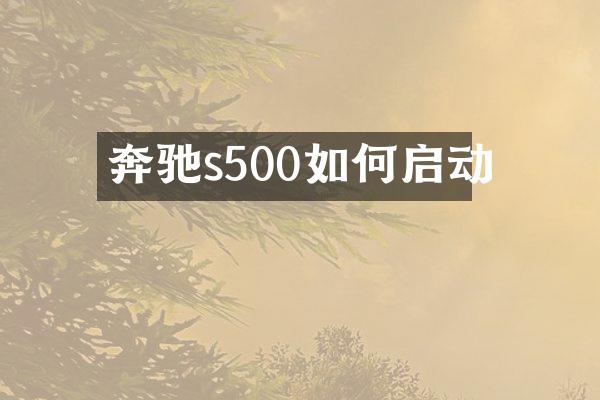 奔驰s500如何启动