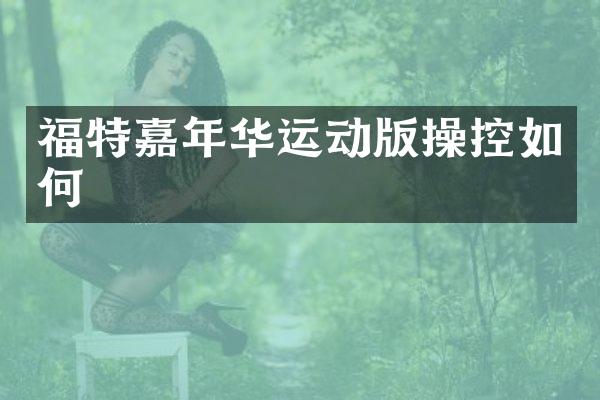 福特嘉年华运动版操控如何