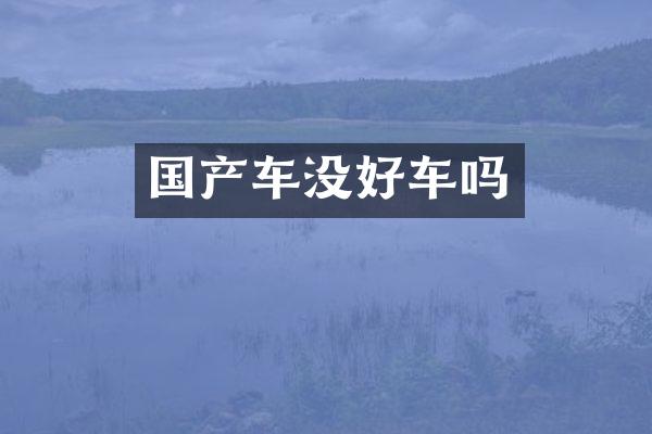 国产车没好车吗