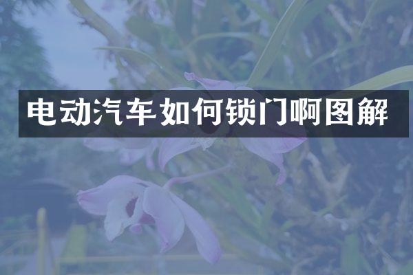 电动汽车如何锁门啊图解
