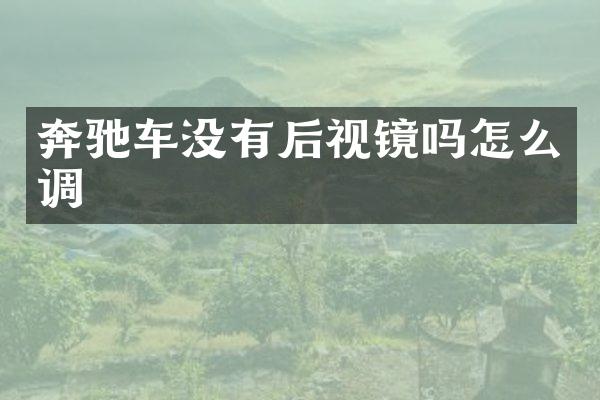 奔驰车没有后视镜吗怎么调