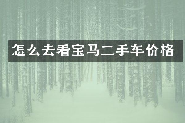 怎么去看宝马二手车价格