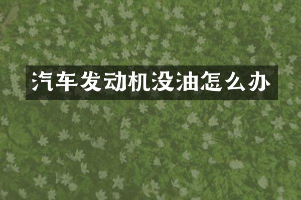 汽车发动机没油怎么办