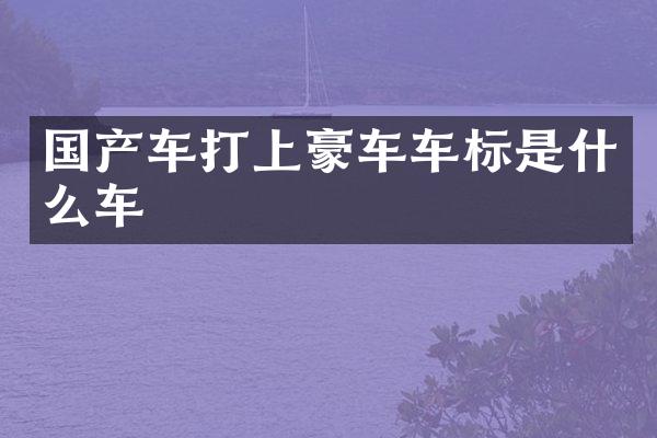 国产车打上豪车车标是什么车