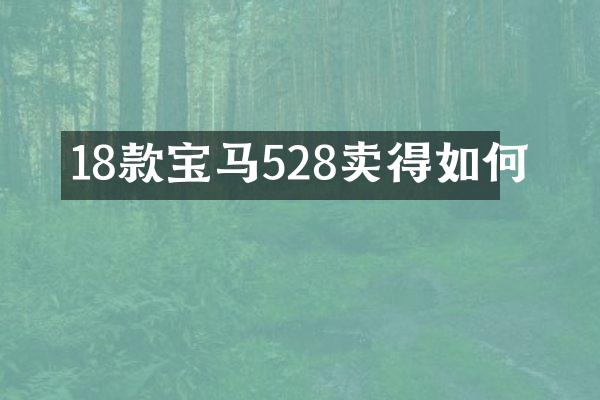 18款宝马528卖得如何
