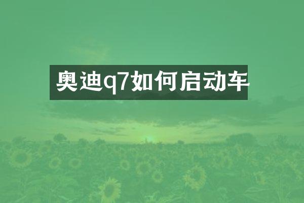 奥迪q7如何启动车