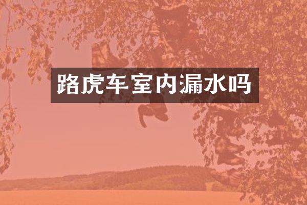 路虎车室内漏水吗