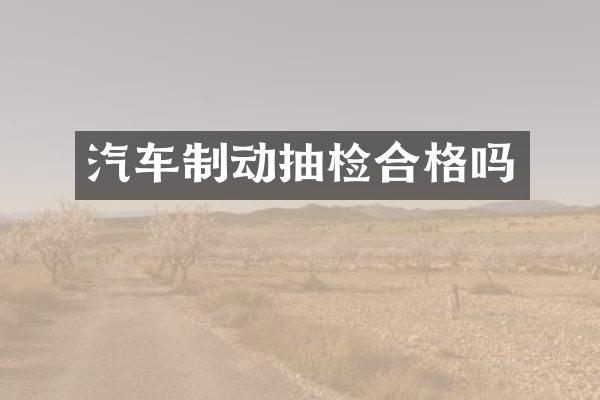 汽车制动抽检合格吗