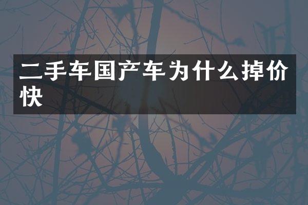 二手车国产车为什么掉价快