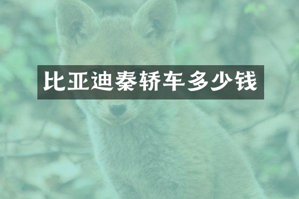 比亚迪秦轿车多少钱