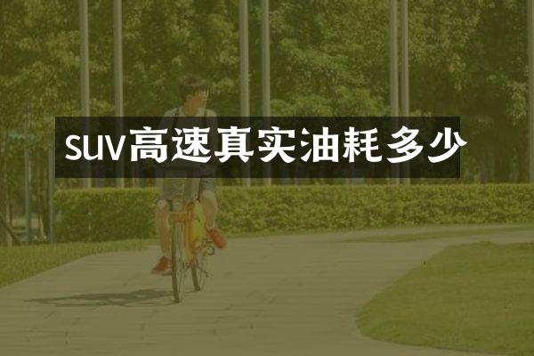 suv高速真实油耗多少