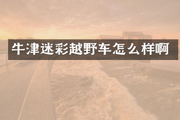 牛津迷彩越野车怎么样啊
