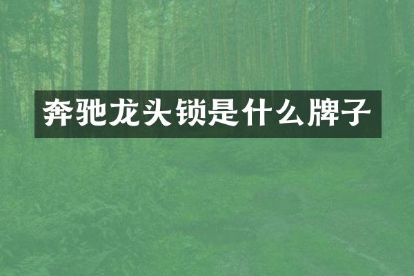 奔驰龙头锁是什么牌子
