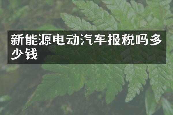 新能源电动汽车报税吗多少钱